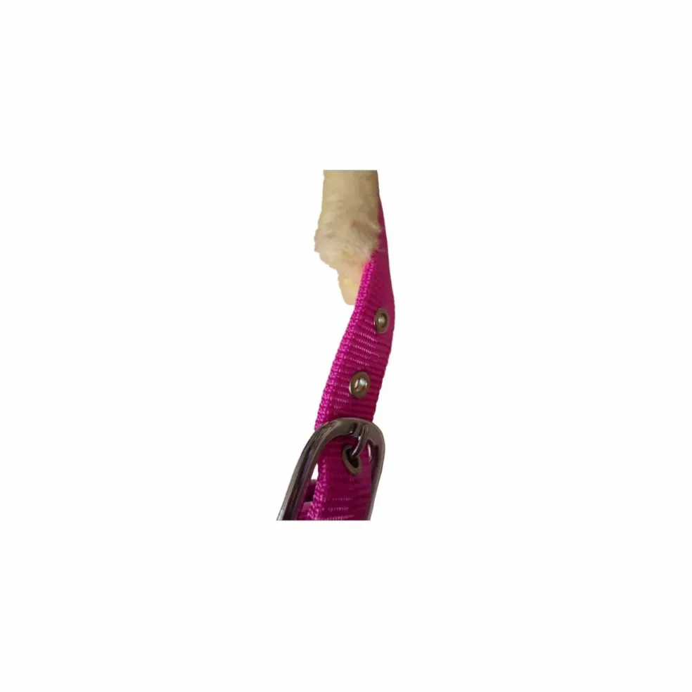 Licol Mouton Rose Fushia | Ultra-Doux & Bouclerie Inox 💖