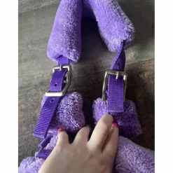 Licol mouton violet