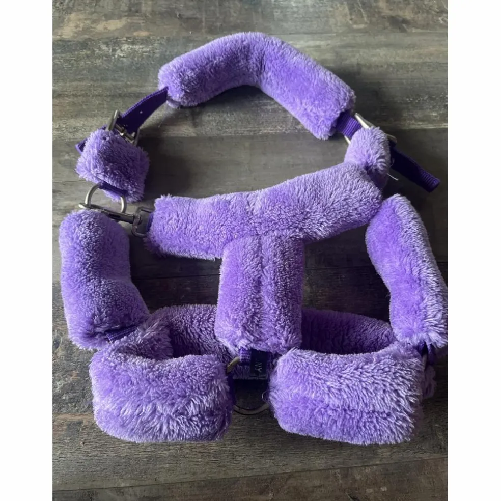 Licol mouton violet