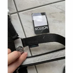 Licol noir à paillettes argentées