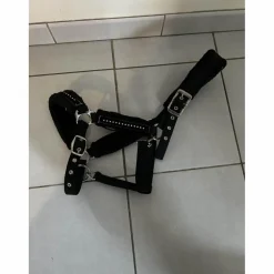 licol noir à strass