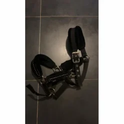 Licol noir strass