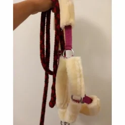 Licol norton en moumoute + longe fouganza