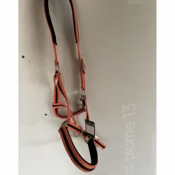 Licol Norton nylon doublé cuir bicolore