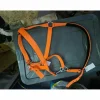 Licol orange
