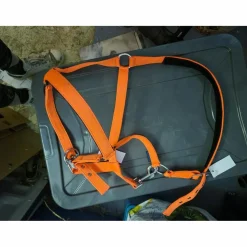 Licol orange