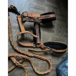 licol orange mouton