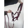 Licol poney nylon couleur prune framboise avec fil argenté
