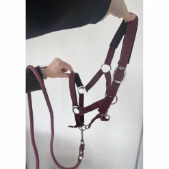 Licol poney nylon couleur prune framboise avec fil argenté