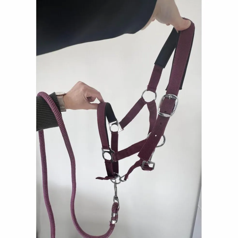 Licol poney nylon couleur prune framboise avec fil argenté
