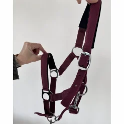 Licol poney nylon couleur prune framboise avec fil argenté