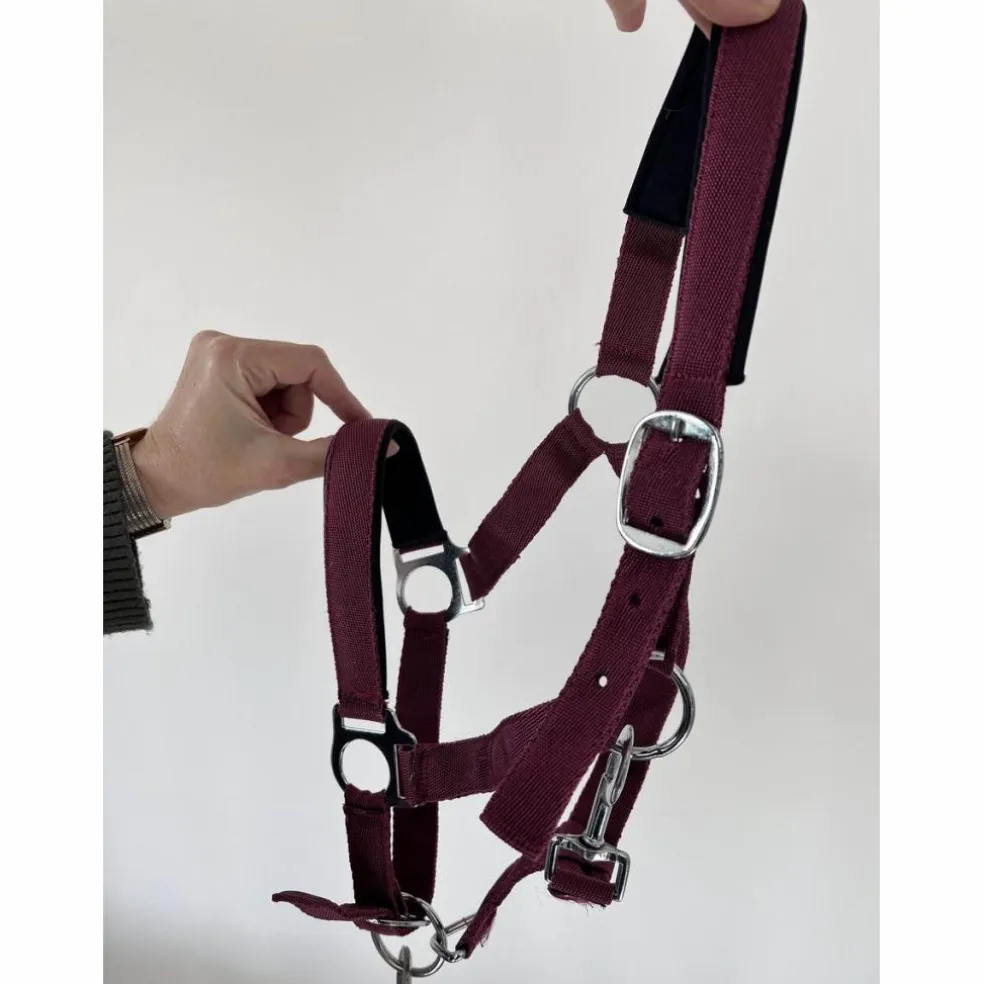 Licol poney nylon couleur prune framboise avec fil argenté