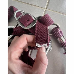 Licol poney nylon couleur prune framboise avec fil argenté