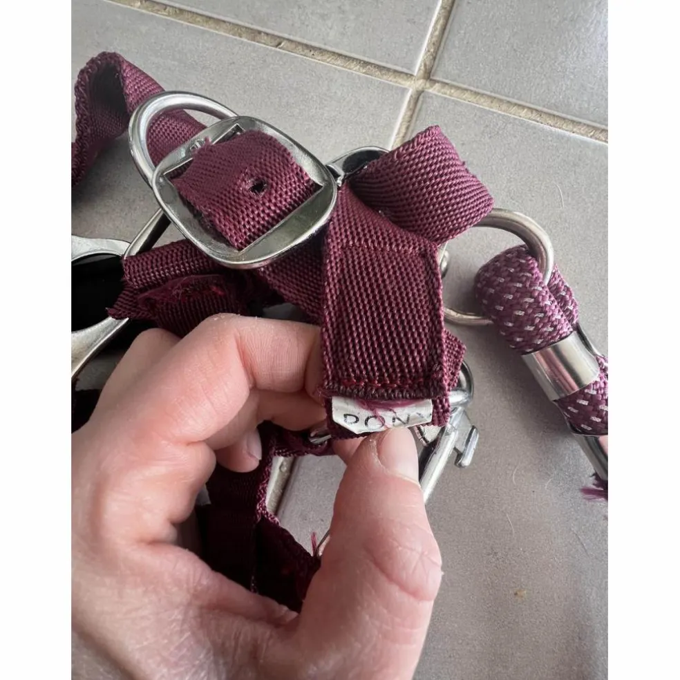Licol poney nylon couleur prune framboise avec fil argenté