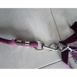 Licol poney nylon couleur prune framboise avec fil argenté
