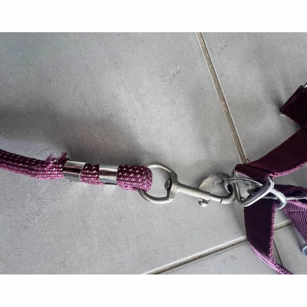 Licol poney nylon couleur prune framboise avec fil argenté