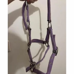 licol poulain-shetland mauve à paillettes