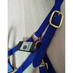 Licol PVC