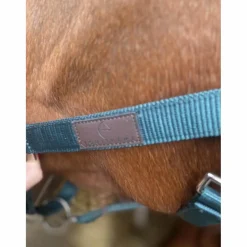 licol équithème turquoise