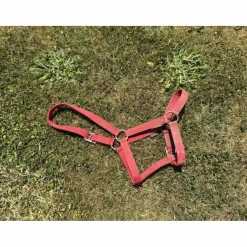 licol rouge
