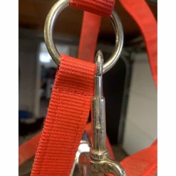 licol rouge avec etoile