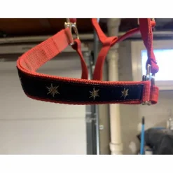 licol rouge avec etoile