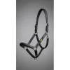 Licol "RX Indestructible" | Cuir Vegan Japonais & Inox Massif 🛡️