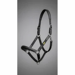 Licol "RX Indestructible" | Cuir Vegan Japonais & Inox Massif 🛡️