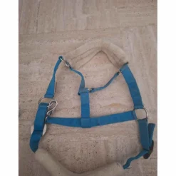 licol showmaster bleue canard avec longe
