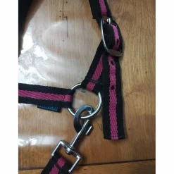Licol taille poney