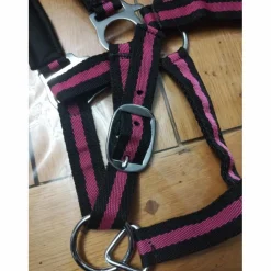 Licol taille poney