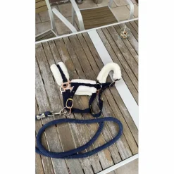 Licol taille poney, avec moumoute et boucles en rose gold