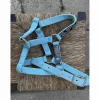 licol taille shetland