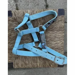 licol taille shetland