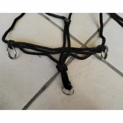 Licol éthologique