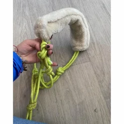 licol éthologique