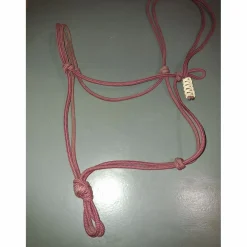 Licol éthologique