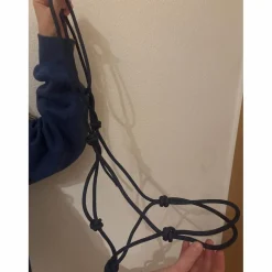 licol éthologique