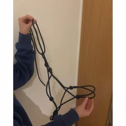 licol éthologique