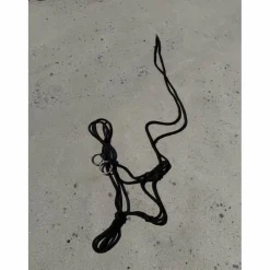 licol éthologique