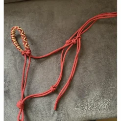 Licol éthologique
