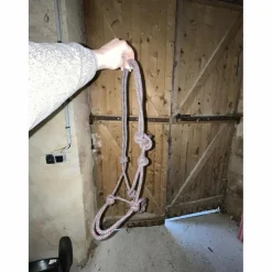 Licol éthologique