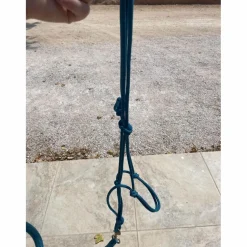 licol éthologique