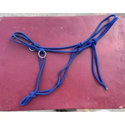 Licol éthologique avec anneau