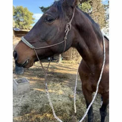 licol éthologique avec sa longe