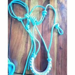 Licol éthologique Bleu