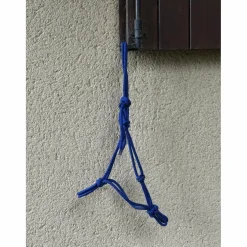 Licol éthologique bleu taille shetland