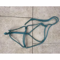 licol éthologique bleu turquoise