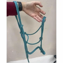 licol éthologique bleu turquoise