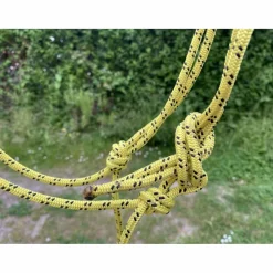 Licol éthologique cob